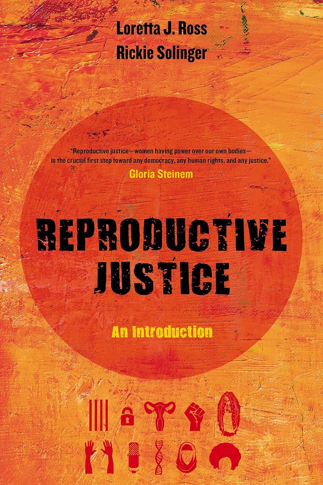 Reproductive Justice: An Introduction (Reproductive Justice: A New Vision for the 21st Century) (Volume 1) cover image