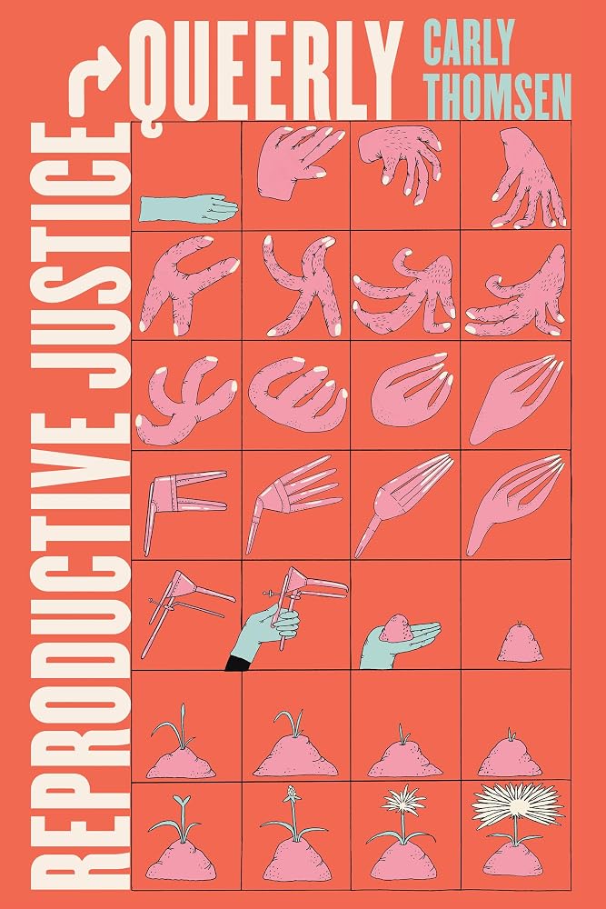 Reproductive Justice, Queerly (Reproductive Justice: A New Vision for the 21st Century) (Volume 16) cover image