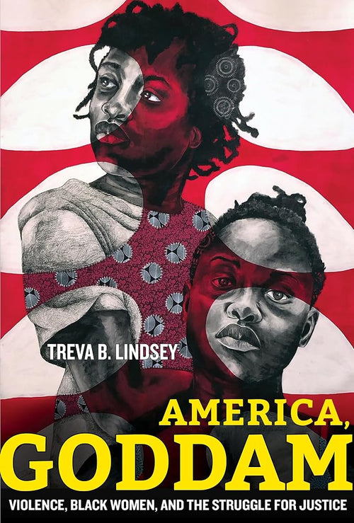 America, Goddam: Violence, Black Women, and the Struggle for Justice cover image
