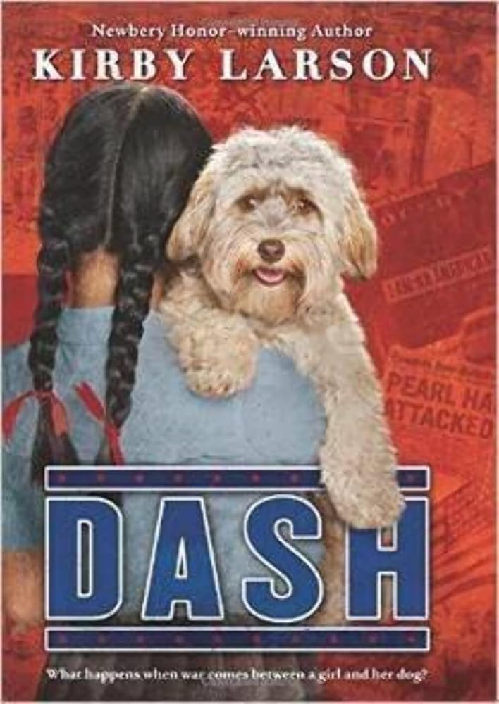 Dash cover image