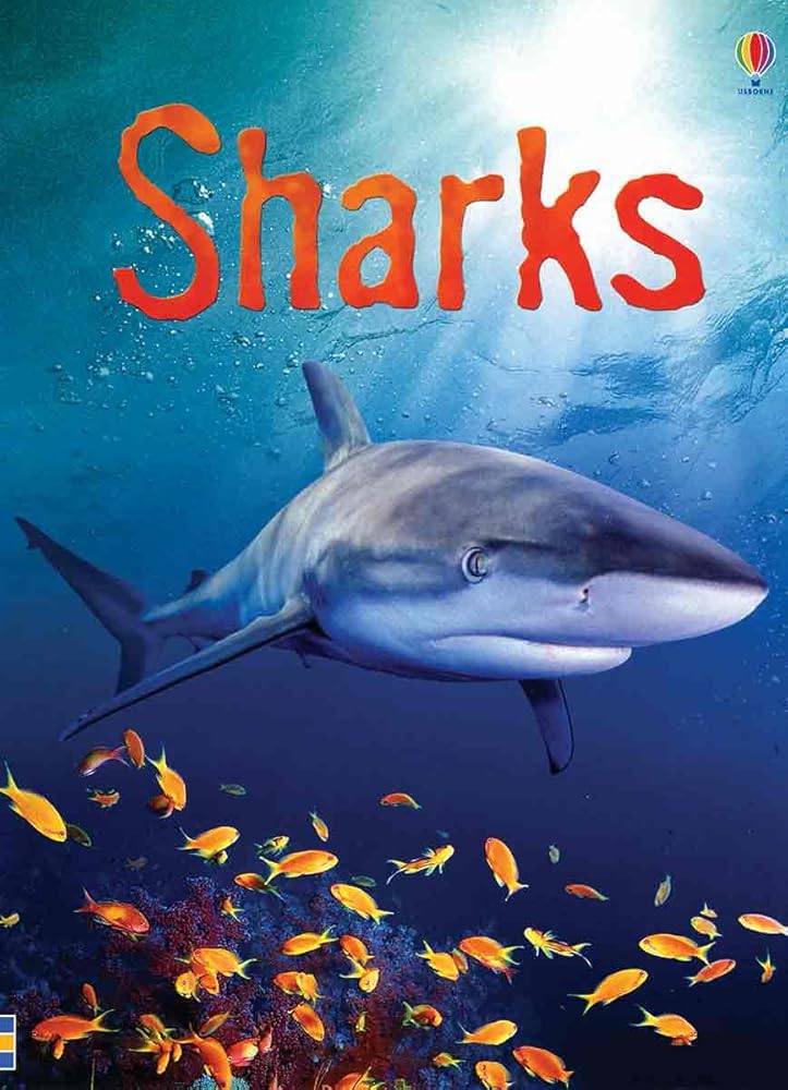 Sharks (Usborne Beginners) cover image